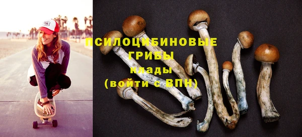 тгк Зеленодольск