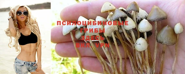 хмурый Зерноград